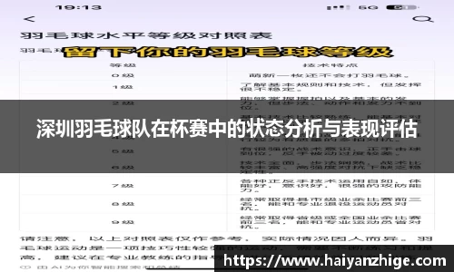 深圳羽毛球队在杯赛中的状态分析与表现评估